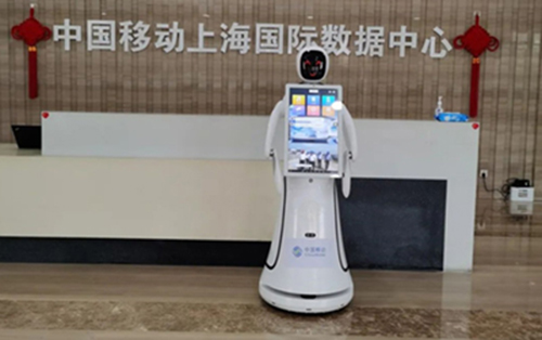 1767678960.jpg 1767498555.jpg