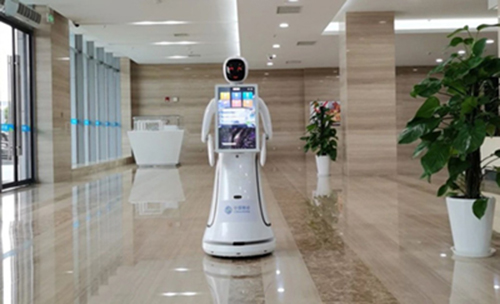 1767678986.jpg 1767498570.jpg