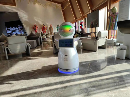 1767679462.jpg 1647311397.jpg