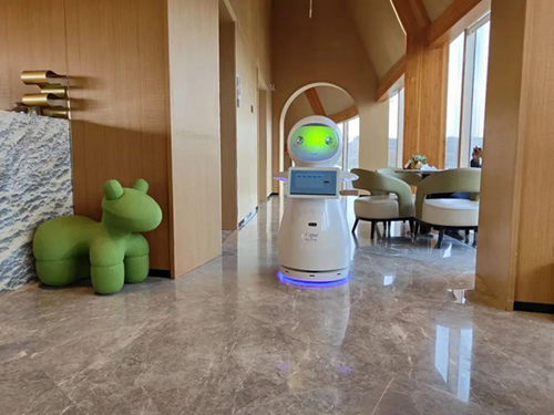 1767679492.jpg 1647311417.jpg